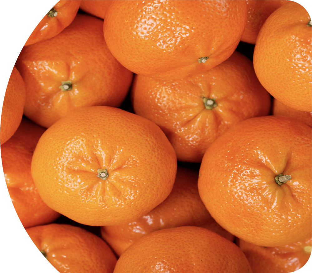 imagen-mandarina-home
