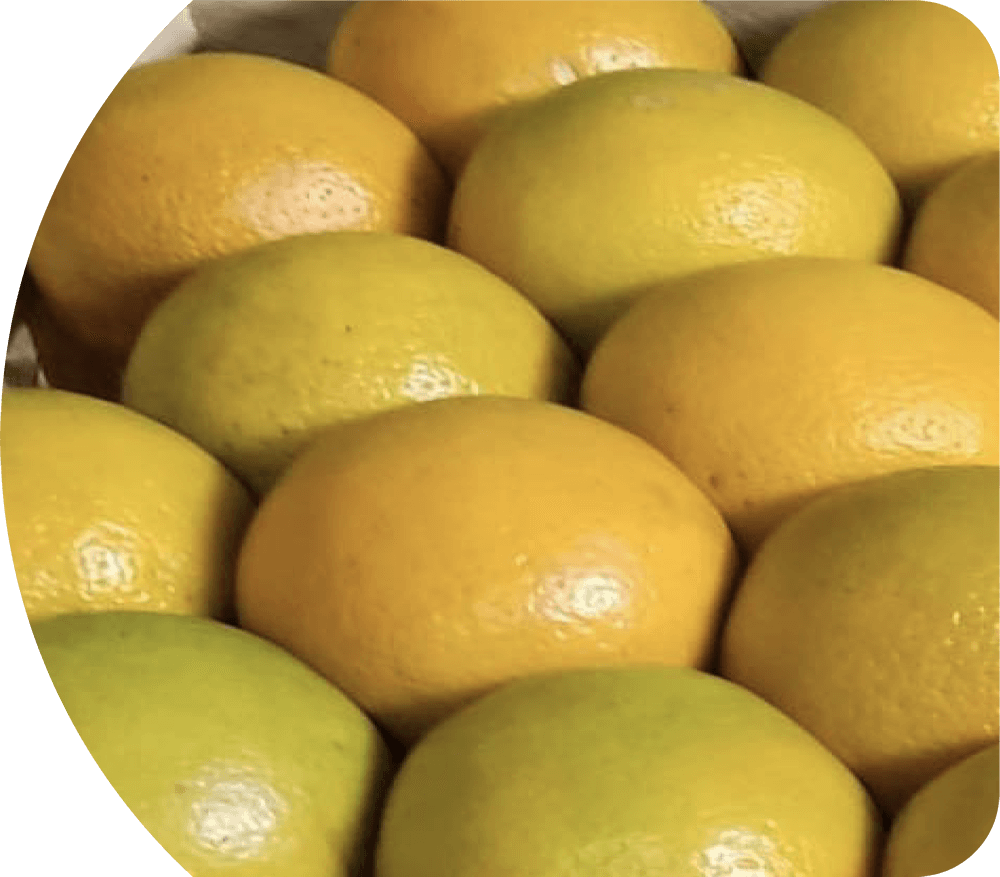 imagen-naranja-home