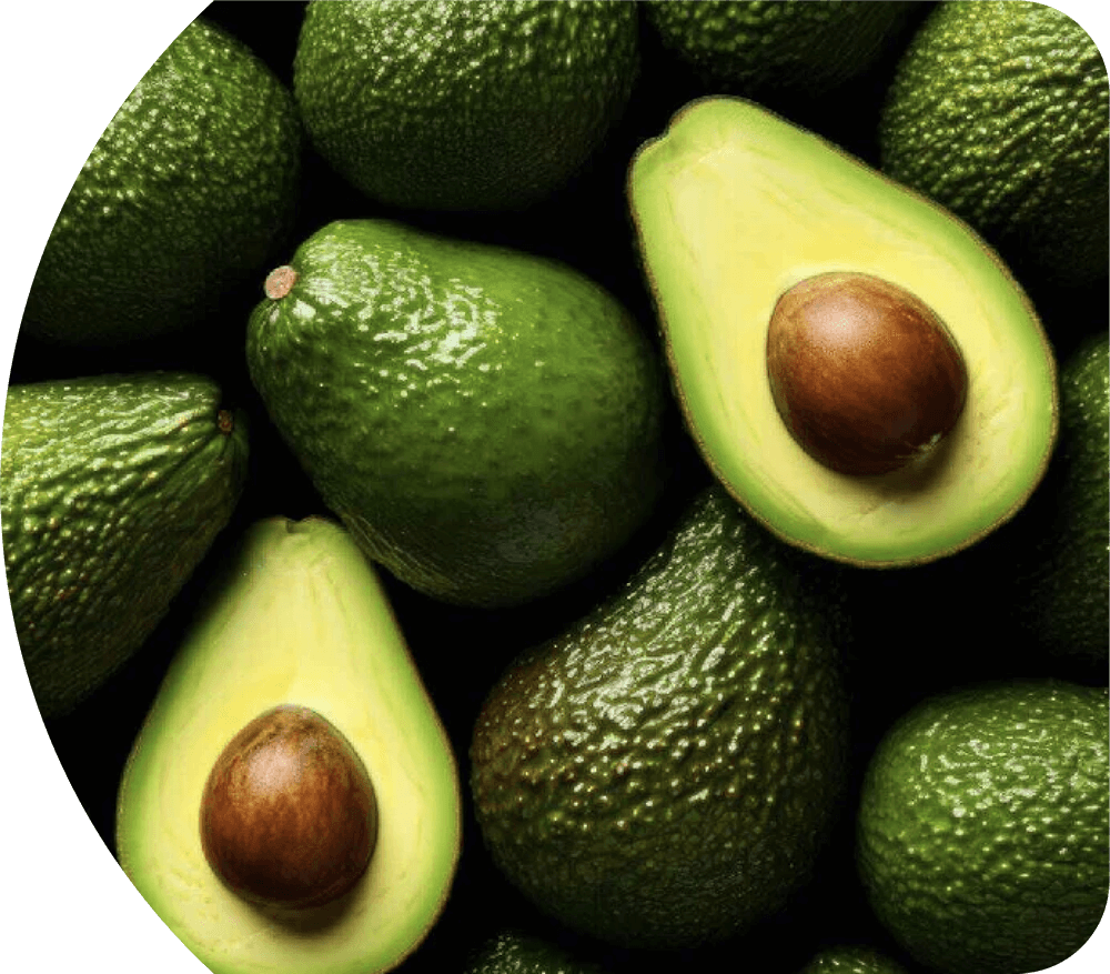imagen-palta-home