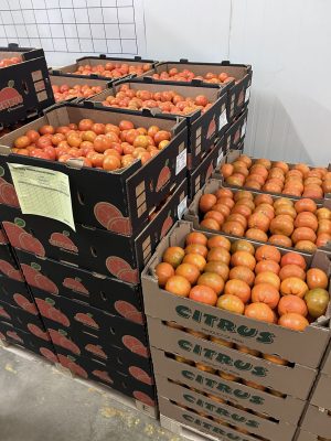 fondo-mandarina-004