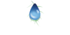 logo-fresh